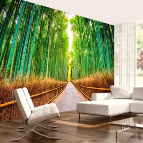 Fotomurale adesivo  Bamboo Forest  Larghezza x Altezza Home decor 441x315