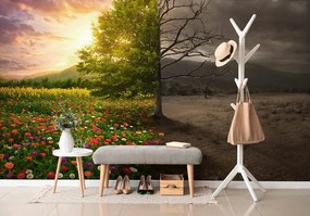 Carta da parati – Due forme di albero