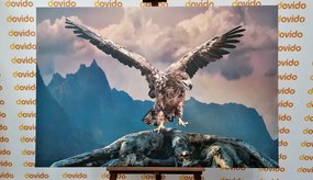 Stampa su tela – Aquila con ali spiegate sopra le montagne