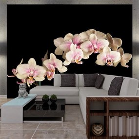 Fotomurale Orchidea in fiore
