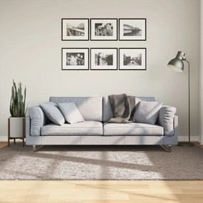 Tappeto Shaggy Pamplona A Pelo Lungo Moderno Beige 160x230 Cm /