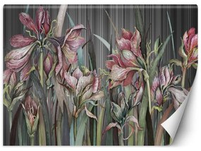 Carta Da Parati, Delicati fiori di iris Piante della natura