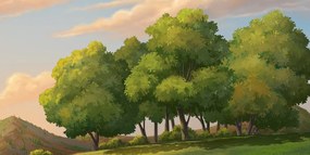 Stampa su tela – Tramonto sulla campagna