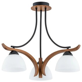 Lampadario a plafone BAFIA 3xE27/15W/230V marrone