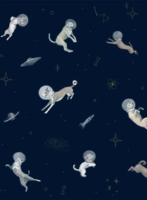 Coordonne Carta da parati panoramica Doggy Gravity - Night