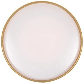 Rabalux 71141 - Plafoniera LED dimmerabile GANDOR LED/24W/230V 3000-6500K