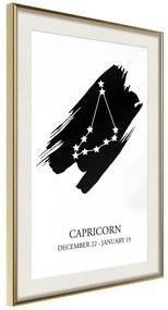 Poster  Zodiac: Capricorn I  Cornice Quadri Cornice d'oro con passe-partout, Larghezza x Altezza Home decor 20x30