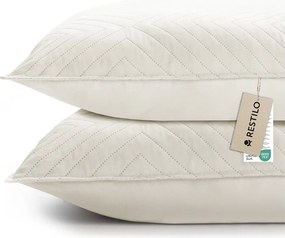 Federe decorative in set in microfibra 2 pz 45x45 cm Softa – Restilo