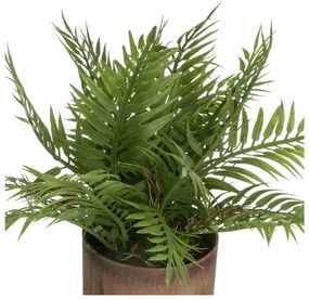 Piante artificiali in set da 2 (altezza 22 cm) - Casa Selección