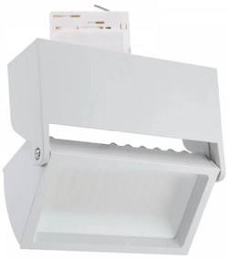 Faro LED 44W Rettangolare per Binario Trifase, 100°, Bianco con driver Philips No Flickering CRI92 Colore Bianco Naturale 4.000K