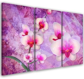 Quadro su tela 3  pannelli, Astrazione dei fiori di orchidea  Dimensioni Tappeti 60x40