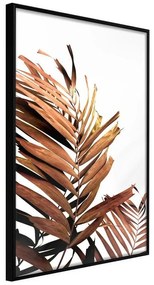 Poster  Copper Palm  Cornice Quadri Cornice nera, Larghezza x Altezza Home decor 30x45