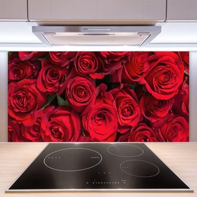 Pannello cucina paraschizzi Fiori della natura delle rose rosse 100x50 cm