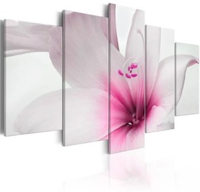 Quadro  Amarylis: Pink Charm  Colore Rosa, Dimensioni e Misure 100x50