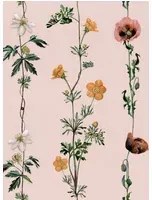 Coordonne Carta da parati Climbing Flowers - Pink
