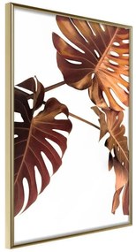 Poster  Copper Monstera  Cornice Quadri Cornice d'oro, Larghezza x Altezza Home decor 40x60