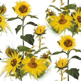 Carta da parati – Girasoli su sfondo bianco