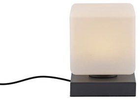 Lampada da tavolo grigio scuro incl. LED dimmerabile con sensore touch - Jano