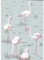 Cole & Son Carta da parati Flamingos - Helltürkis