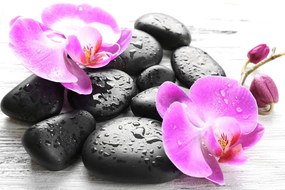 Stampa su tela – Bella armonia di pietre e orchidee