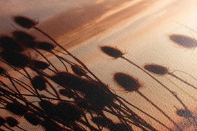 Stampa su tela – Steli d'erba nel campo