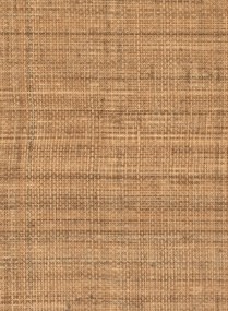 Élitis Carta da parati Abaca - VP 983 17