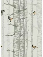 Coordonne Carta da parati Birch Trees - Silvester