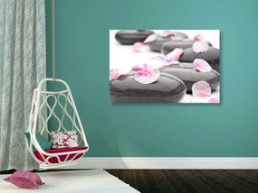 Stampa su tela – Petali su pietre wellness
