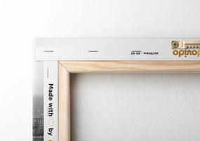 Quadro su tela – Vettura d'epoca di lusso in bianco e nero