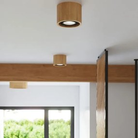 Sollux SL.0913 - Plafoniera BASIC AR111 1xGU10/40W/230V faggio