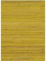 Osborne & Little Tapete Kanoko Grasscloth 2 - Dandelion