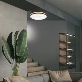 Plafoniera SIRJA STRIPE 4xE27/15W/230V diametro 45 cm nero