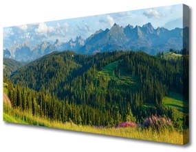 Foto quadro su tela Natura della foresta di montagna 100x50 cm