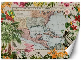 Carta Da Parati, Mappa del mondo Foglie di giungla