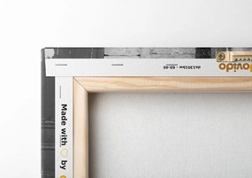 Quadro su tela – Bicicletta rustica in bianco e nero