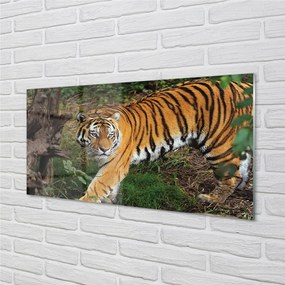 Quadro acrilico Foresta di tigre 100x50 cm