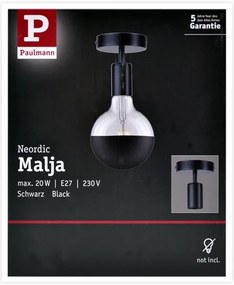 Paulmann 79760 - Plafoniera HALDOR 1xE27/20W/230V