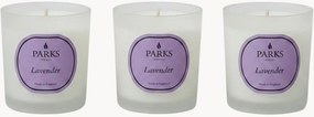 Set di 3 candele profumate fatte a mano Vintage Aromatherapy (lavanda, camomilla e muschio bianco)