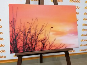 Quadro su tela – Cielo colorato