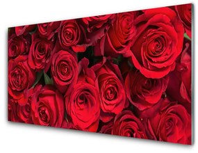 Quadro in vetro Rose rosse Fiori di natura 100x50 cm