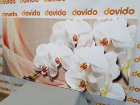 Quadro su tela – Orchidea bianca su tela