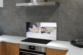 Rivestimento parete cucina Gatto sdraiato 100x50 cm