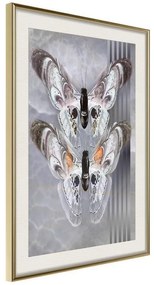 Poster  Two Moths  Cornice Quadri Cornice d'oro con passe-partout, Larghezza x Altezza Home decor 30x45