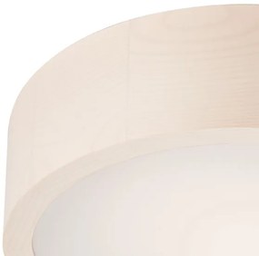Lampada da soffitto 1xE27/60W/230V pino