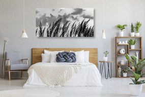 Quadro su tela – Erba in bianco e nero