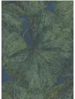 Zoffany Carta da parati Taisho Lotus - Panal B Malachite/ Lapis
