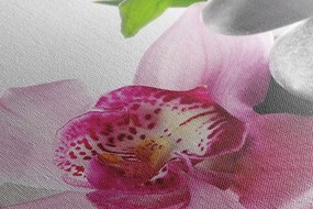 Quadro su tela – Natura morta zen armoniosa