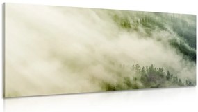 Quadro su tela – Foresta nebbiosa