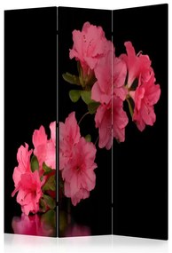 Paravento  Azalea in Black [Room Dividers]  Colore Rosa, Dimensioni e Misure 135x172