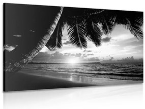 Stampa su tela – Alba sulla spiaggia caraibica in bianco e nero